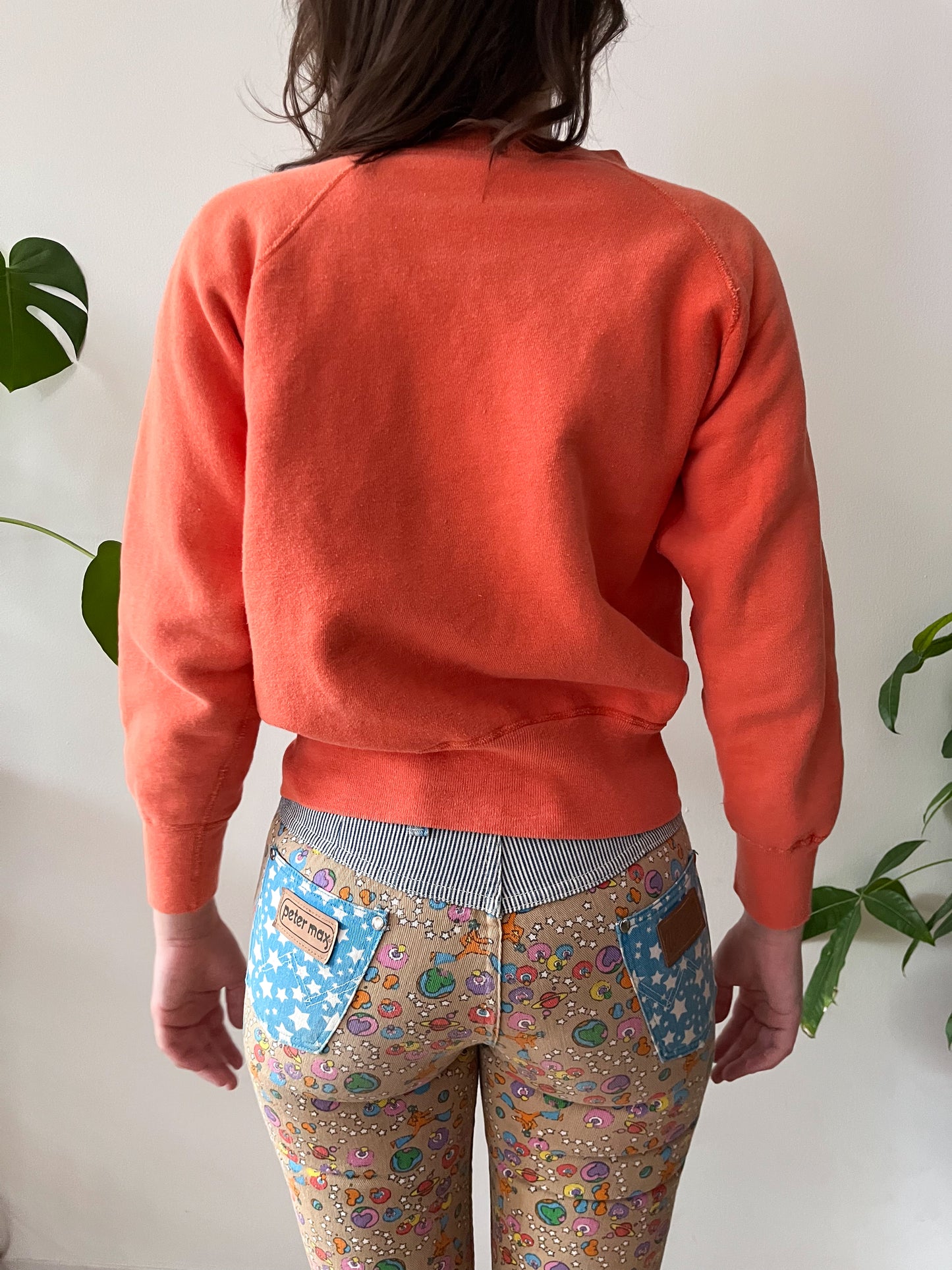 1960s Vintage Alpha Phi Collegiate University Fraternity Flocked Crewneck Sweatshirt