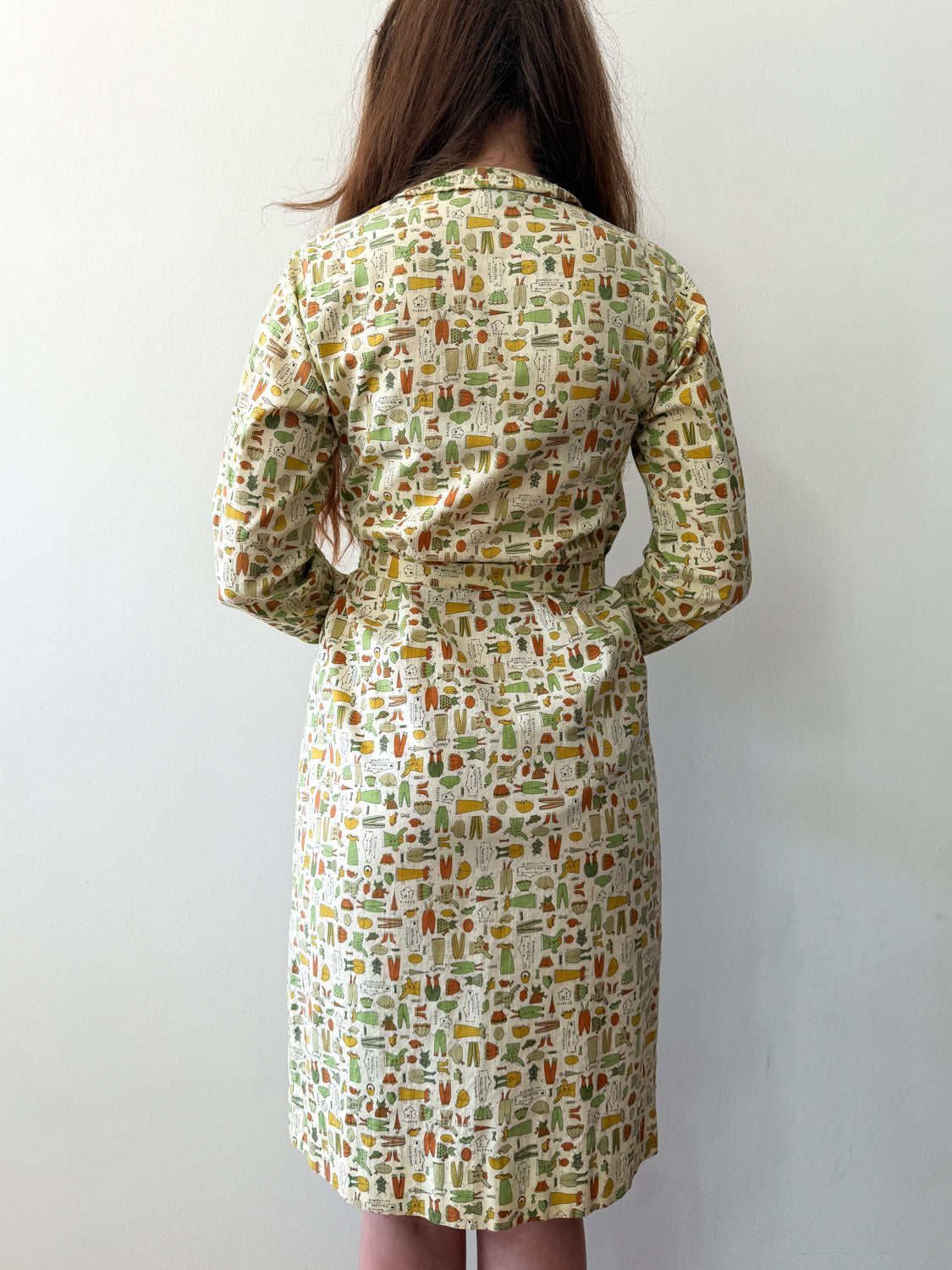 1960s Vintage Sewing Pattern Novelty Print Shift Dress