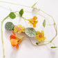 Jeweled Nasturtium French Barrette | Winona Irene
