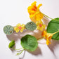 Jeweled Nasturtium French Barrette | Winona Irene