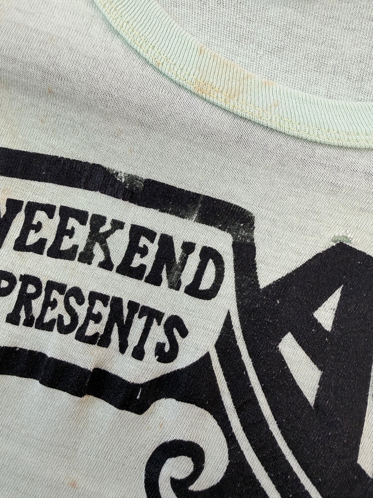 1970s Vintage The Ark 1421 Hill St Ann Arbor Milton Kemnitz Hand Screen Printed Tee Shirt