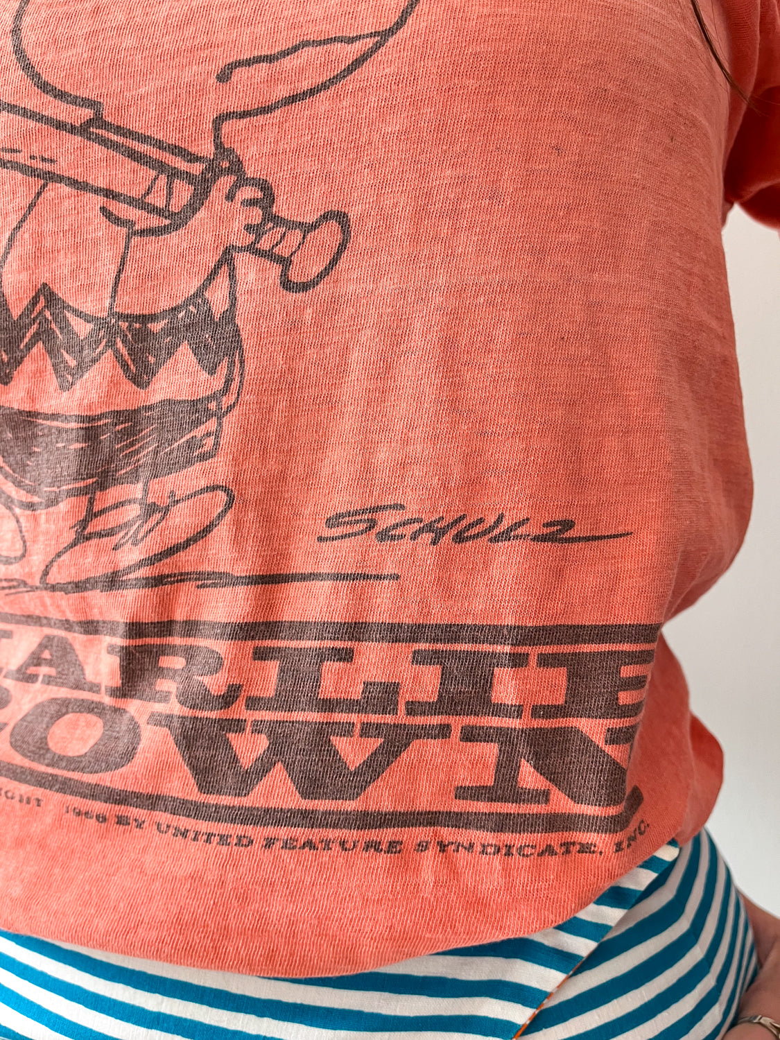 1966 Vintage Peanuts Charlie Brown Faded Distressed Tee Shirt Mayo Spruce 1960s