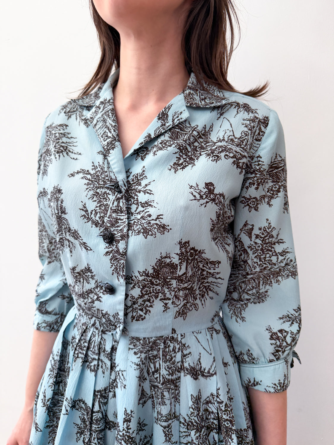 1960s Vintage Nelly Don Novelty Pastoral Print Shirtwaist Dress