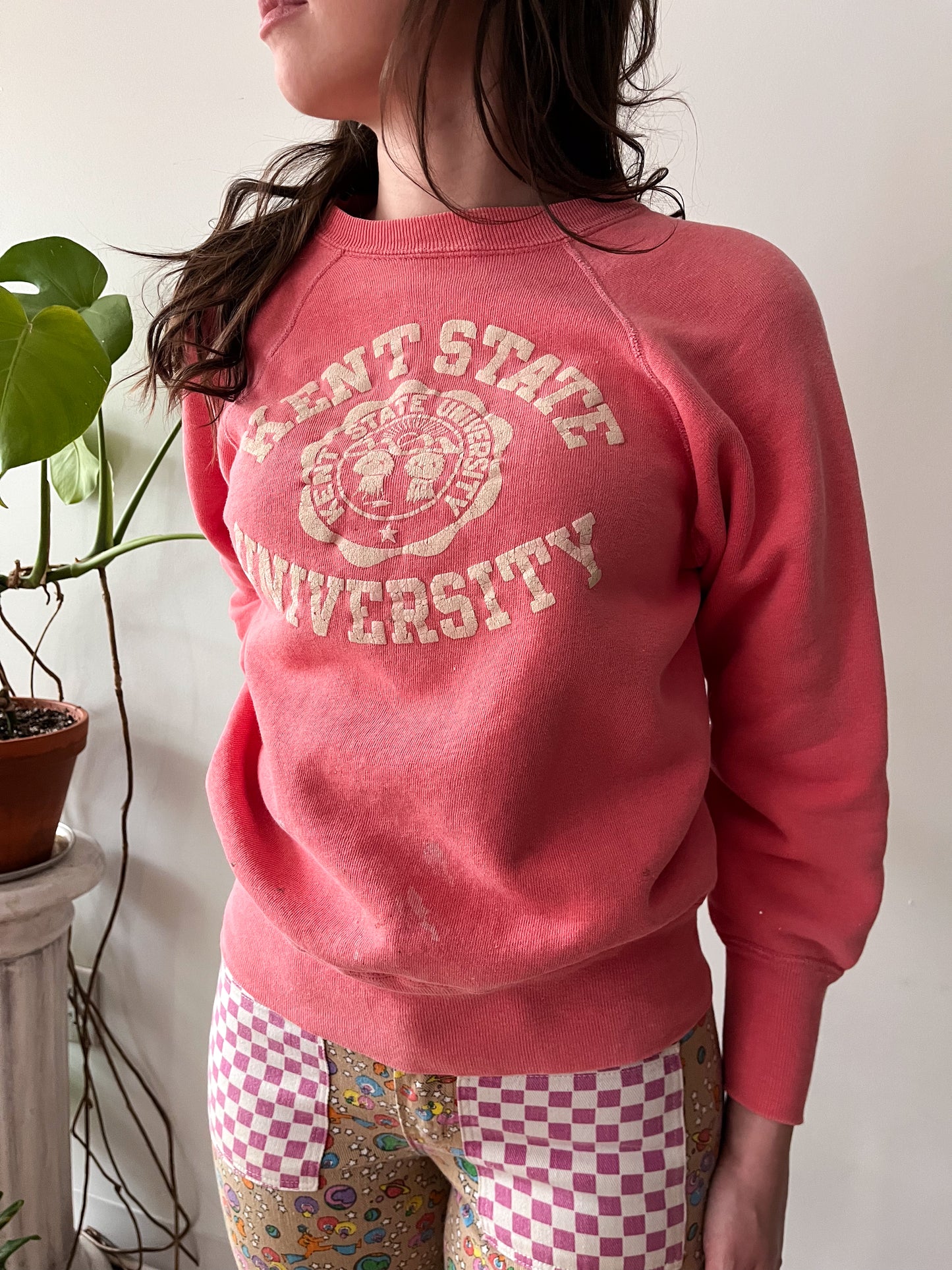 1960s Vintage Kent State University Champion Brand Crewneck Sweatshirt