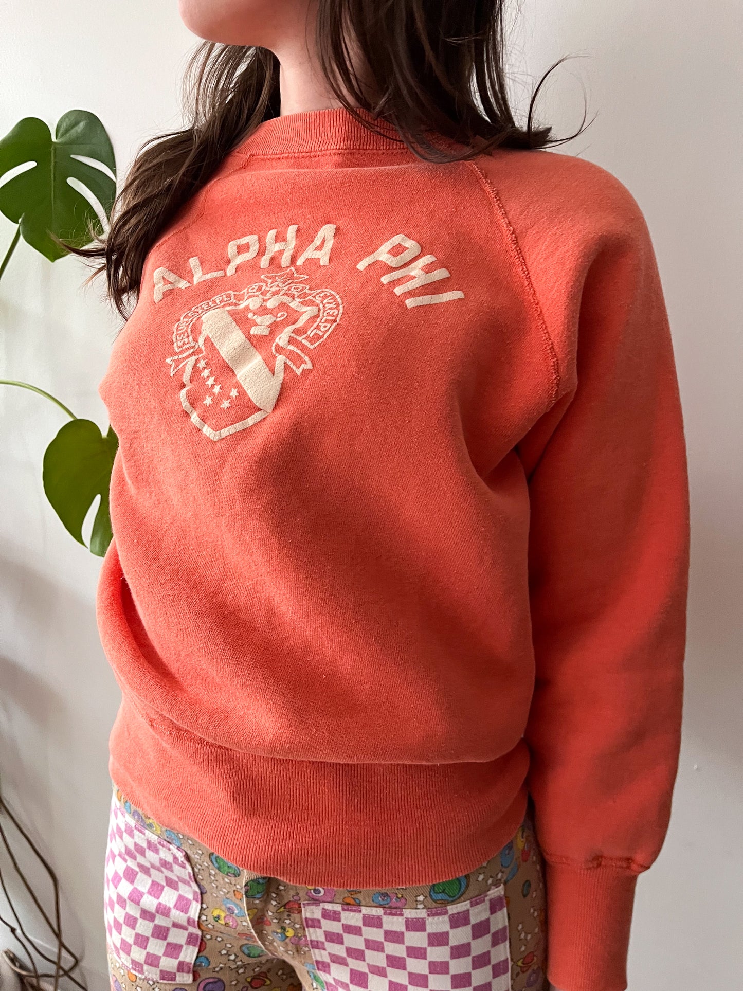 1960s Vintage Alpha Phi Collegiate University Fraternity Flocked Crewneck Sweatshirt