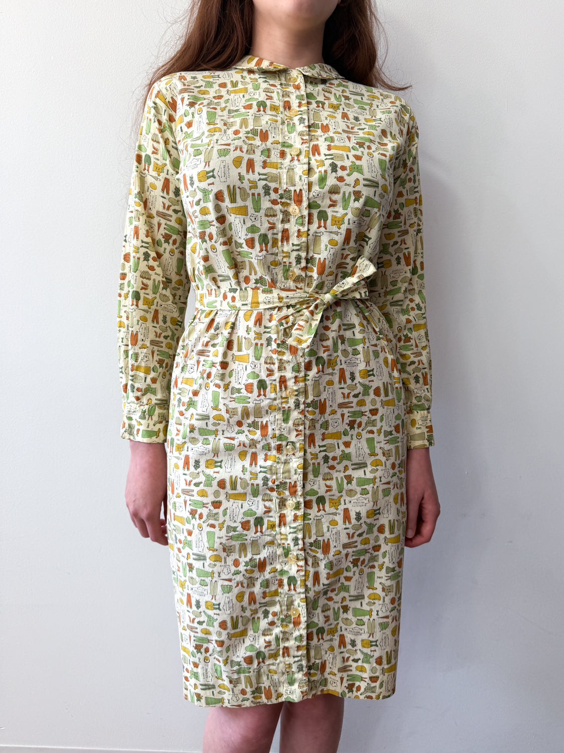1960s Vintage Sewing Pattern Novelty Print Shift Dress