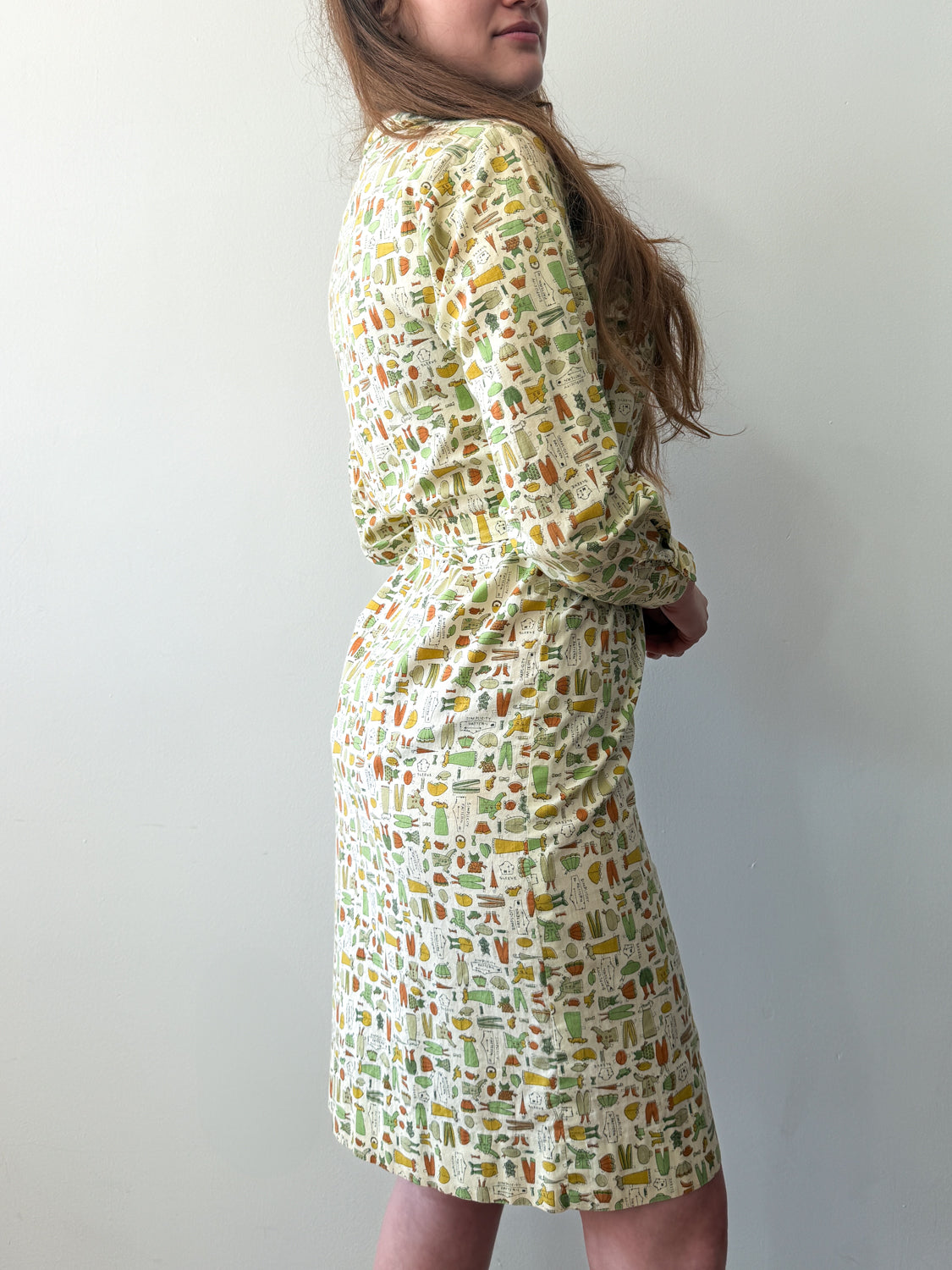 1960s Vintage Sewing Pattern Novelty Print Shift Dress