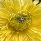Flower Necklace | Trinity Barbara