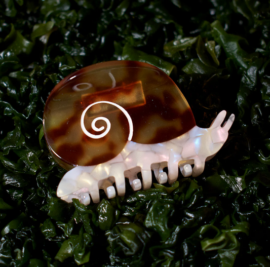 Sea Snail Claw