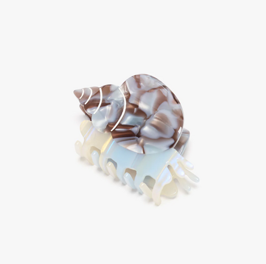 Blue Whelk Snail Claw