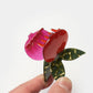 Pomegranate Claw | Winona Irene